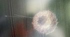 Unexploded WWII bomb suddenly detonates in German field