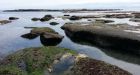 Vancouver Island treaty agreement in principle includes West Coast Trail