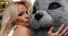 PETA promises seal hunt will dog Harper